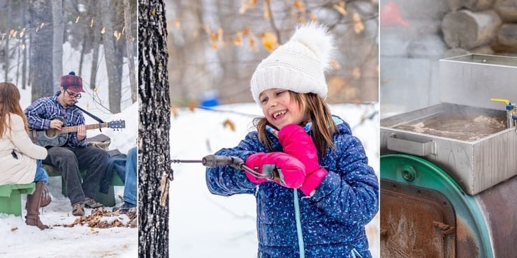 Maple, Music, & Phenology.