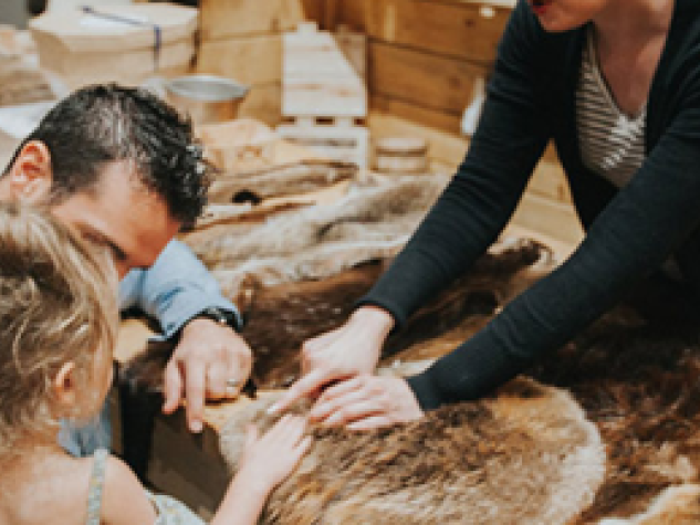 A guide shows an adult and a child how to touch a piece of fur at a hands-on exhibit at the History Center.